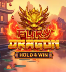 Fury Dragon